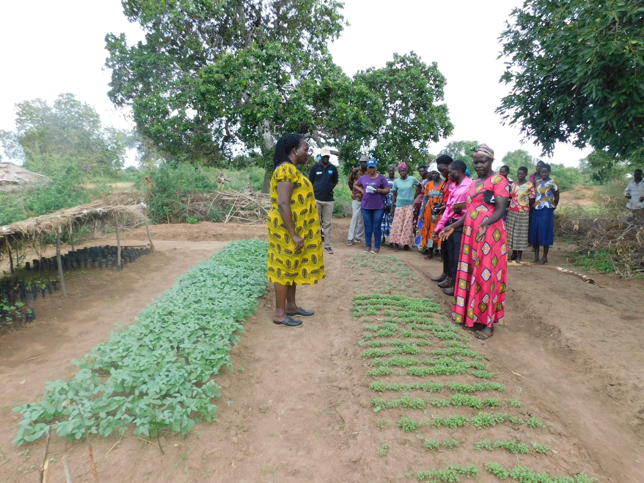 DSCN6387-scaledff-2048x1536-1